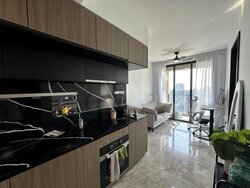 Irwell Hill Residences (D9), Apartment #455791661